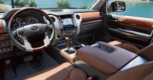 Tundra Interior