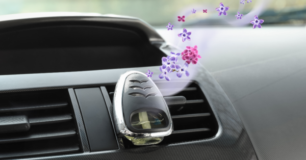 The Best Fragrances to Keep Your Car Smelling Clean