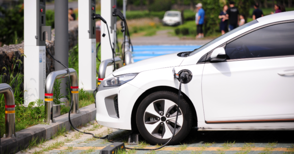 From Excitement to Skepticism: The Rollercoaster Ride of EV Transition